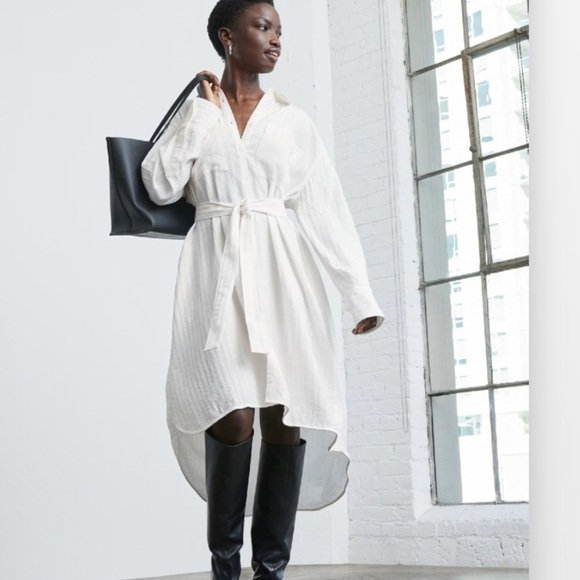 Everlane Dresses & Skirts - 🆕 EVERLANE The City Stripe Draped Shirt Dress